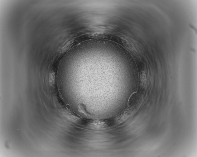 X0000093480278200710261044
