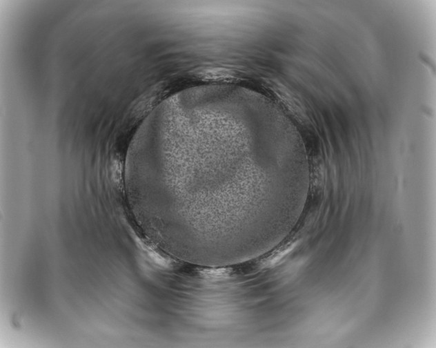 X0000093480281200710261044