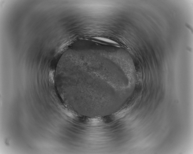 X0000093480286200710261044