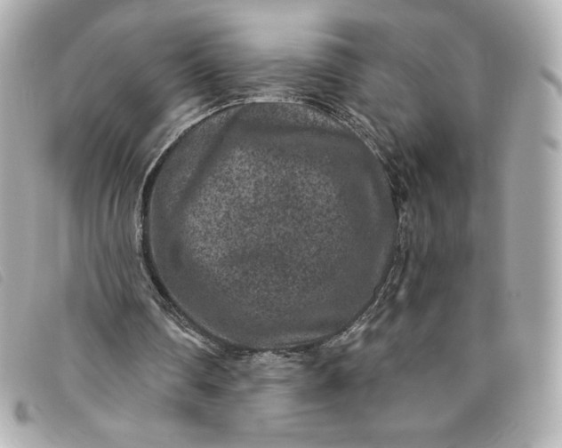 X0000093480290200710261044
