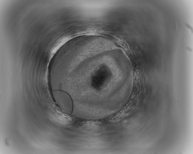 X0000093480292200710261044