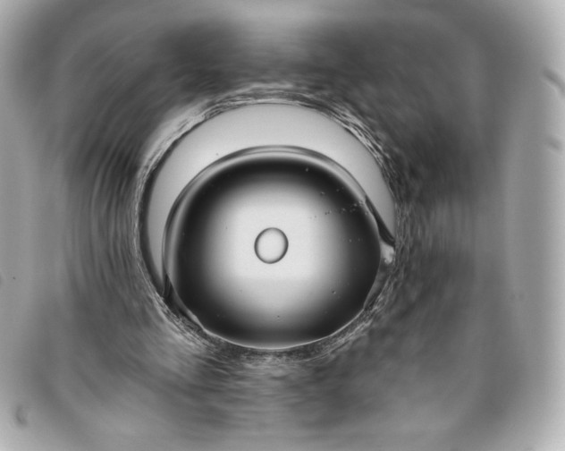 X0000093480293200710261044