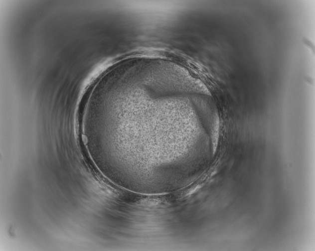 X0000093480294200710261044
