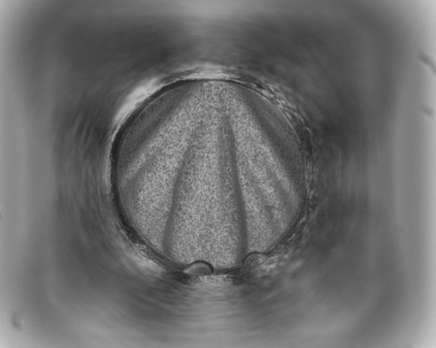 X0000093480296200710261044