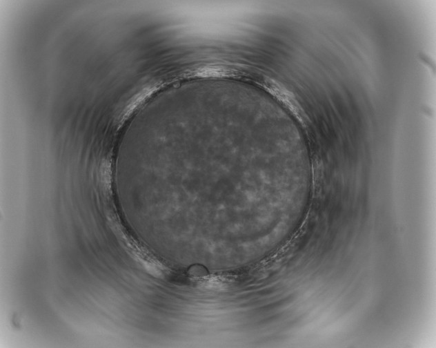 X0000093480297200710261044