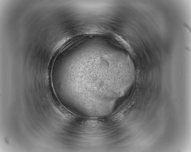 X0000093480298200710261044