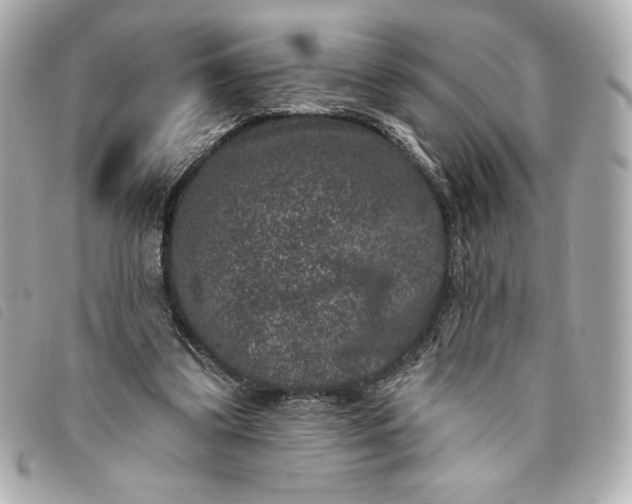X0000093480299200710261044