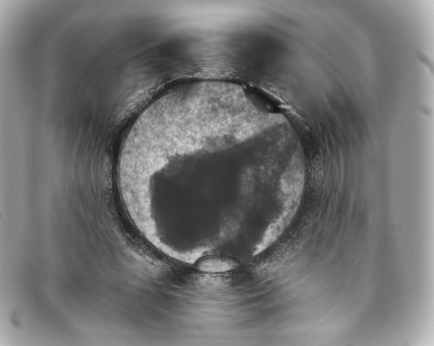 X0000093480303200710261043