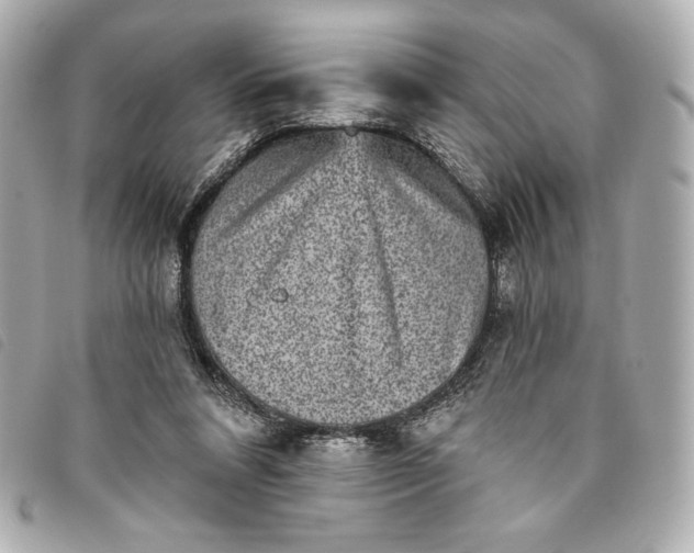 X0000093480304200710261043