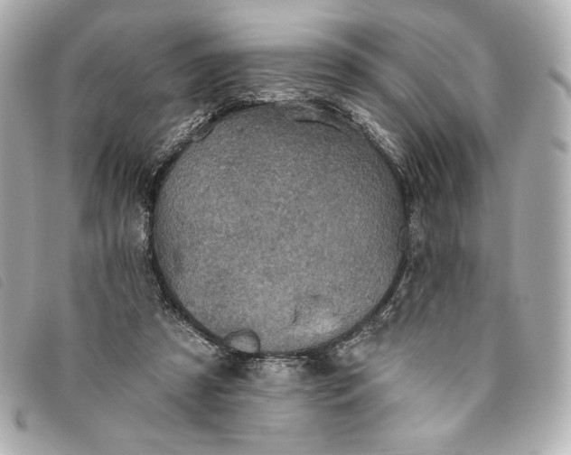 X0000093480305200710261043