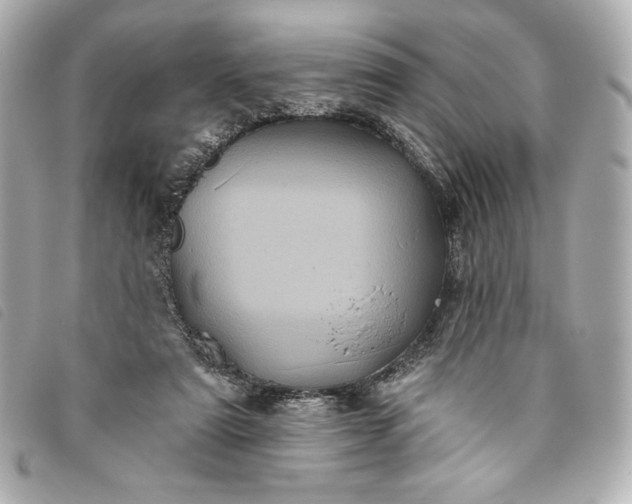 X0000093480307200710261043