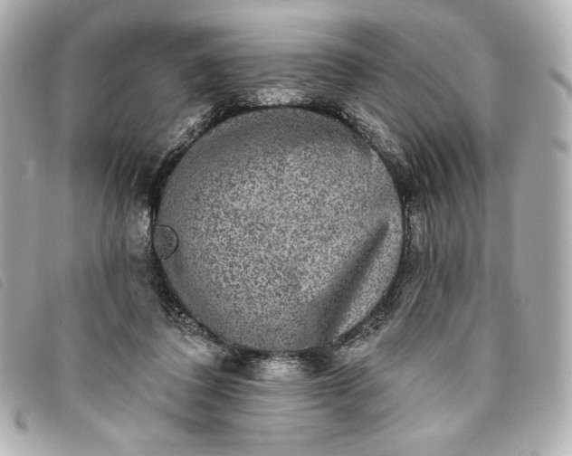 X0000093480308200710261043