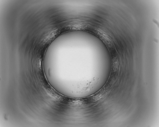 X0000093480310200710261043