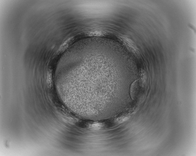 X0000093480312200710261043