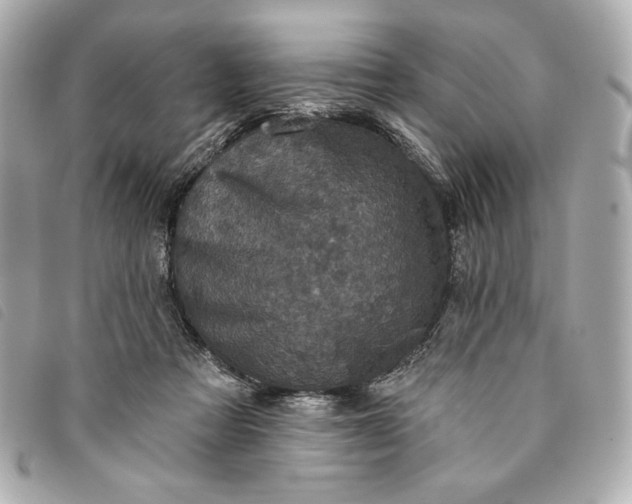X0000093480313200710261043