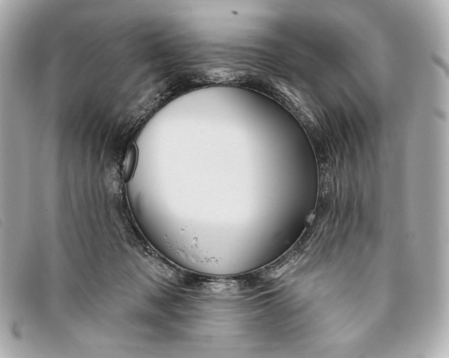 X0000093480317200710261043