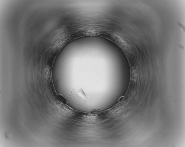 X0000093480318200710261043