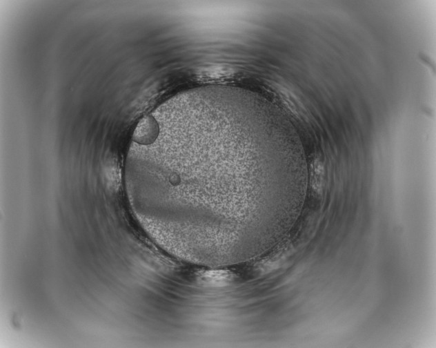 X0000093480324200710261043