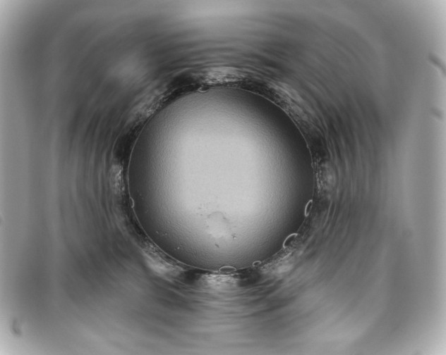 X0000093480327200710261043