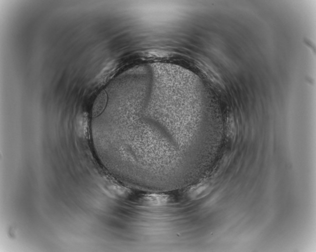 X0000093480328200710261043