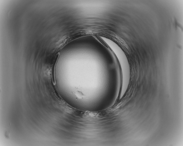 X0000093480329200710261043