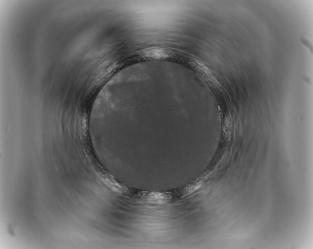 X0000093480330200710261043