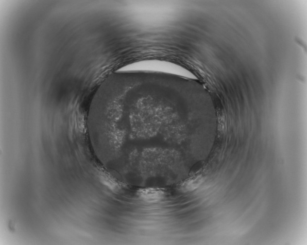 X0000093480331200710261043