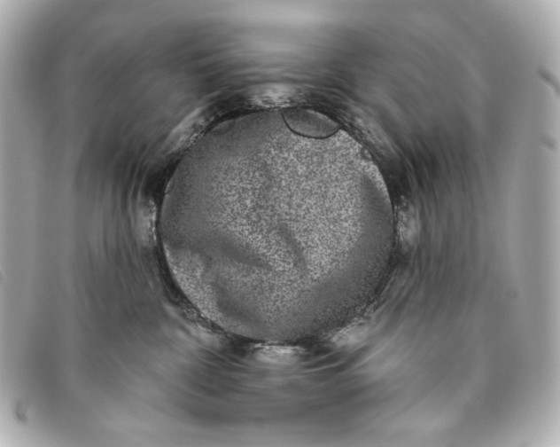 X0000093480332200710261043