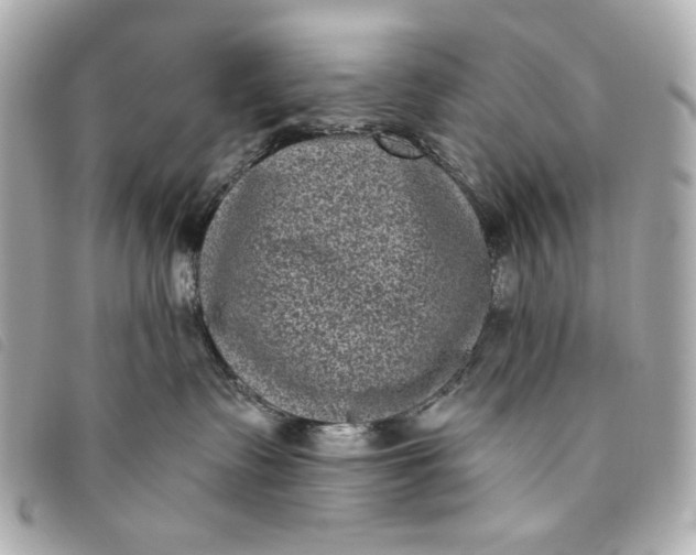 X0000093480335200710261043