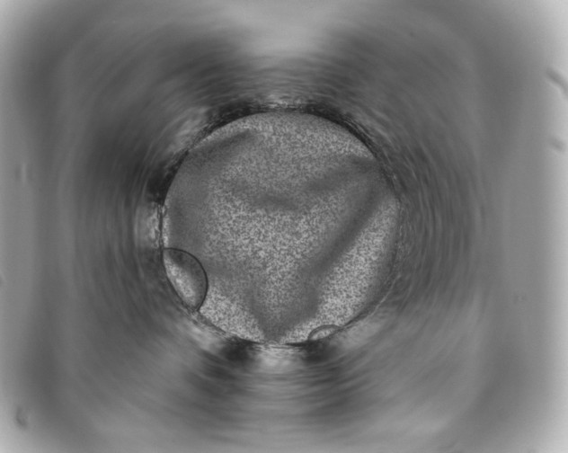 X0000093480336200710261043
