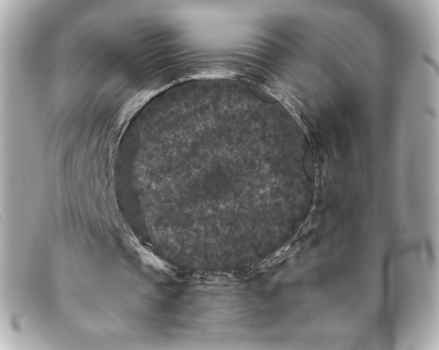 X0000093480337200710261042