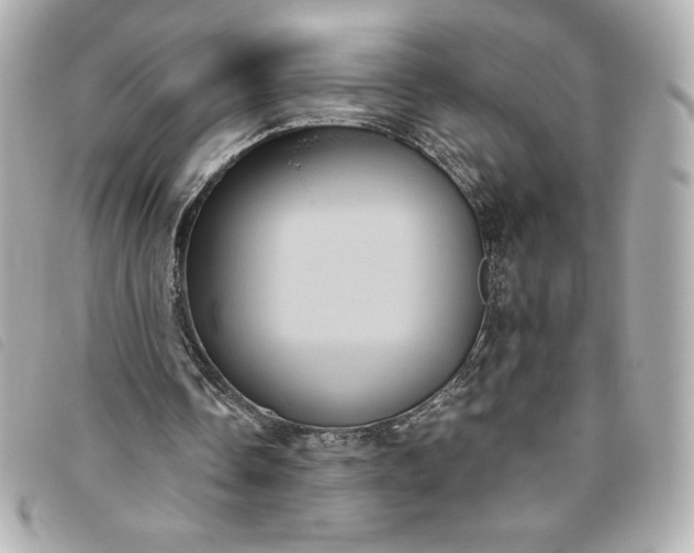 X0000093480338200710261043