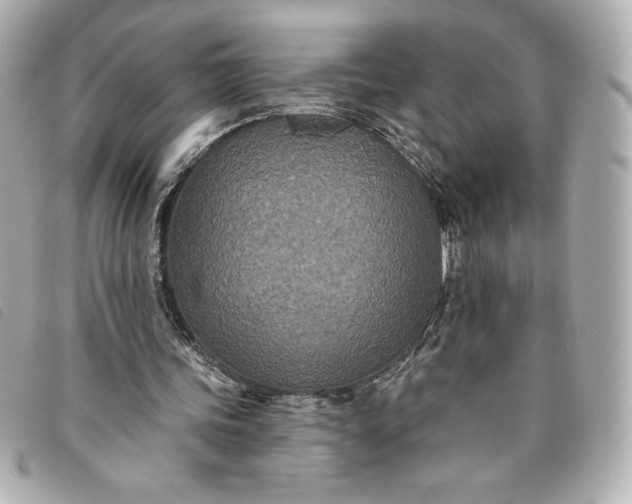 X0000093480339200710261043