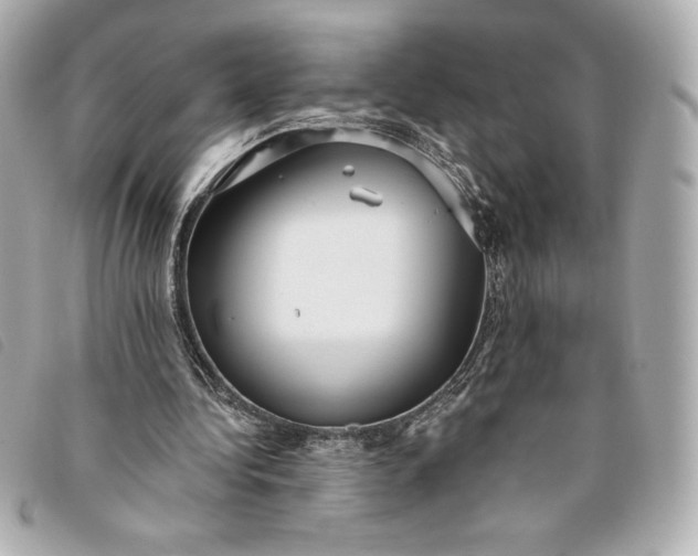 X0000093480340200710261043