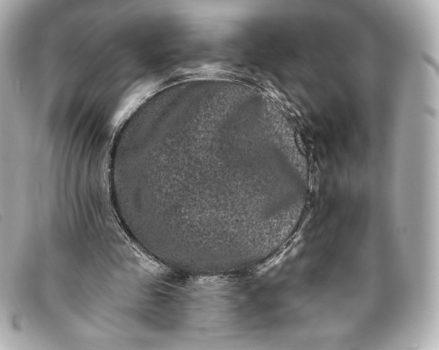 X0000093480341200710261043