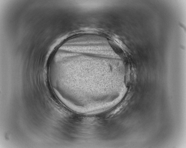X0000093480342200710261043