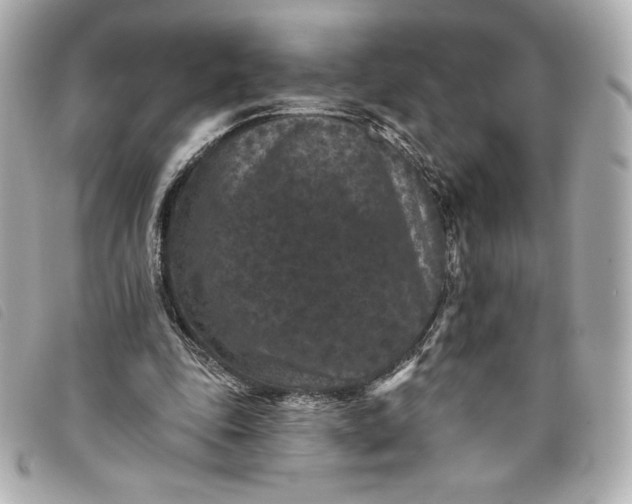 X0000093480343200710261043