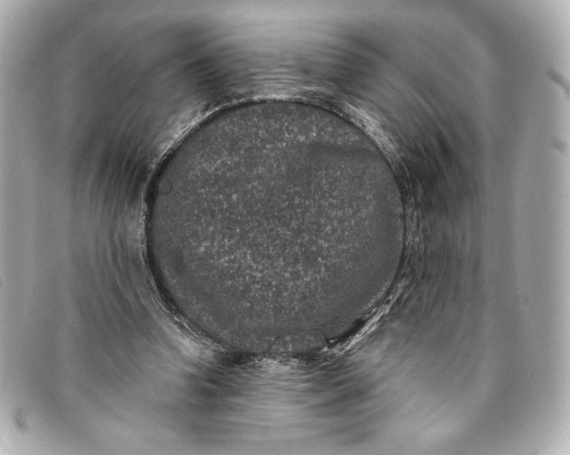 X0000093480346200710261043