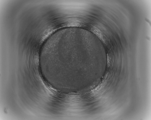 X0000093480348200710261043