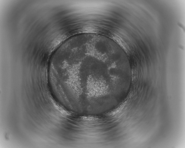 X0000093480349200710261043