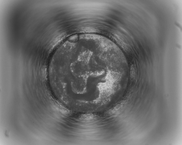 X0000093480351200710261043