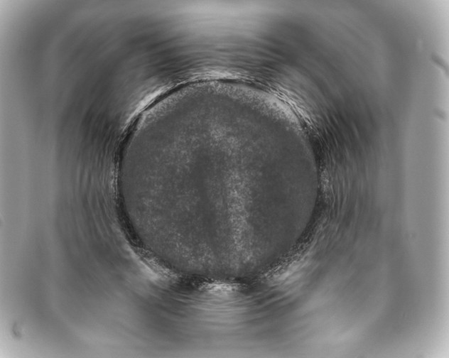 X0000093480352200710261043