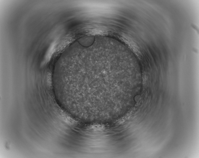 X0000093480353200710261043