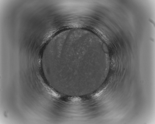 X0000093480355200710261043