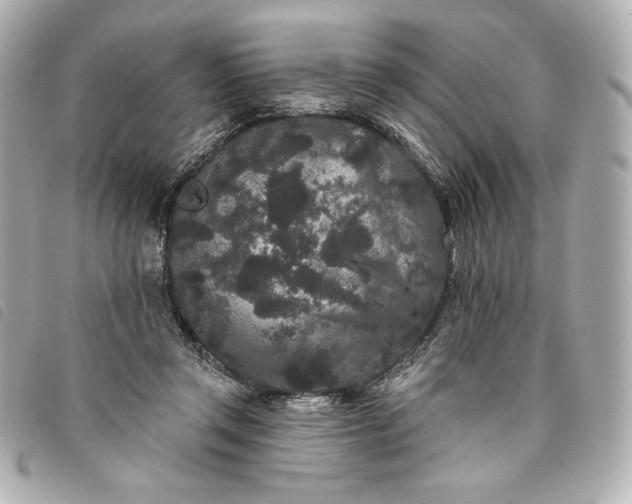 X0000093480357200710261043
