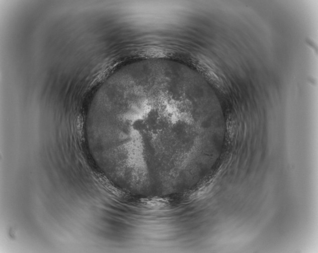 X0000093480359200710261043