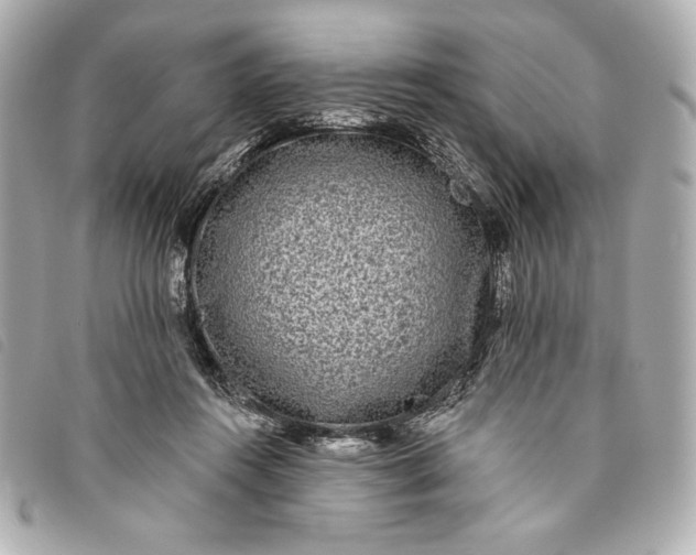X0000093480360200710261043