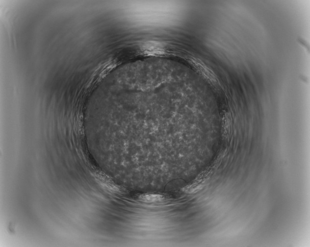 X0000093480361200710261043