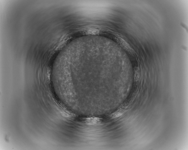 X0000093480363200710261043
