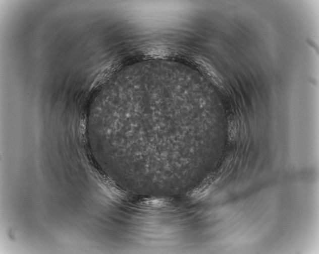 X0000093480365200710261043